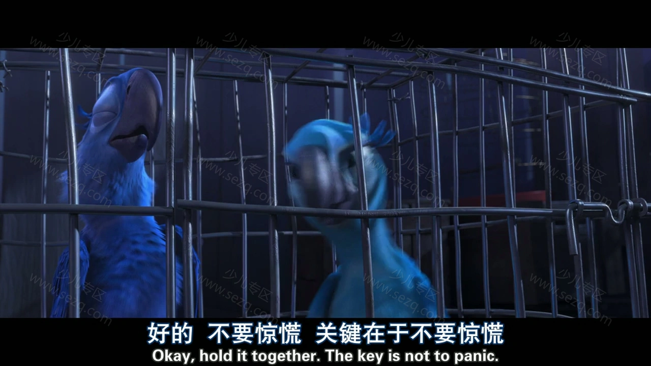 里约大冒险的剧照截图4