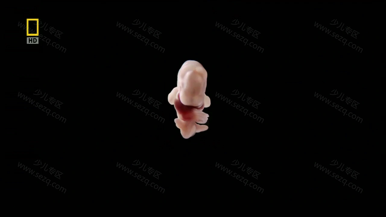 子宫日记的剧照截图6