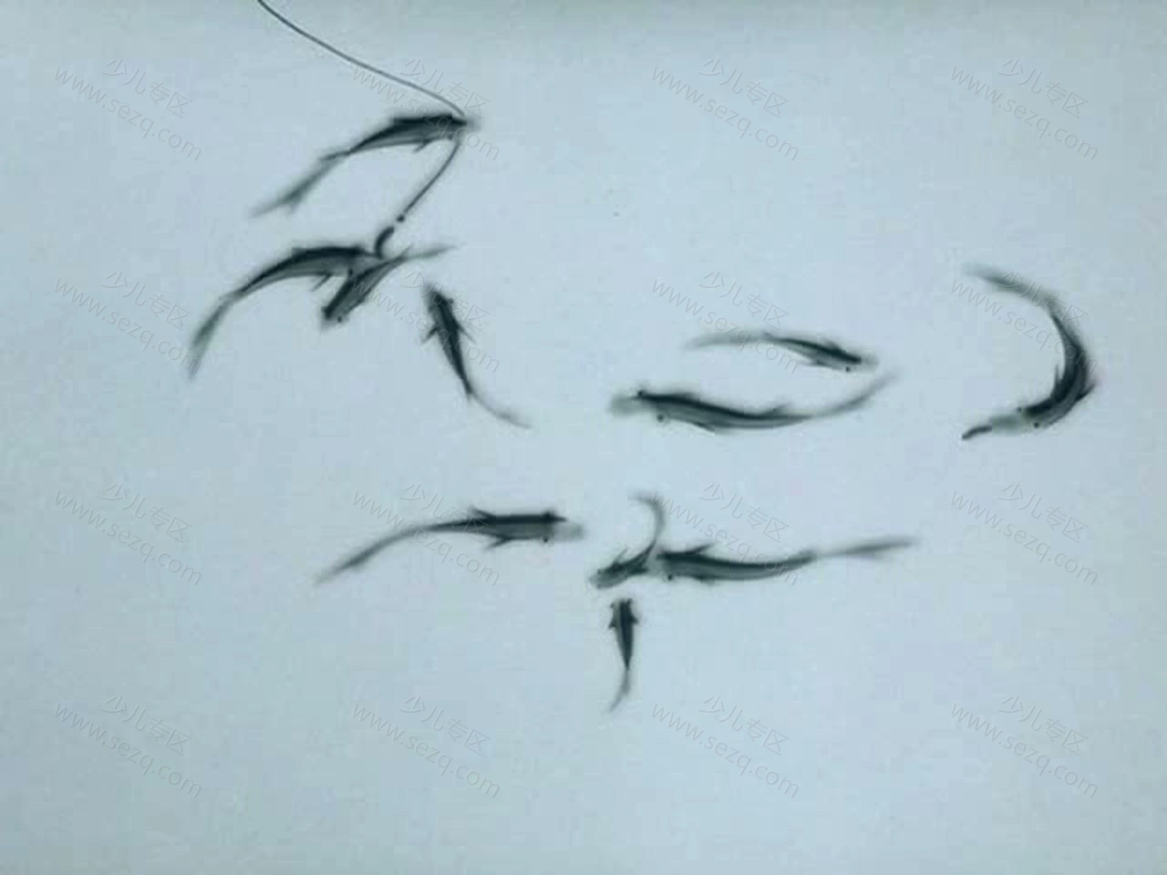 山水情的剧照截图6