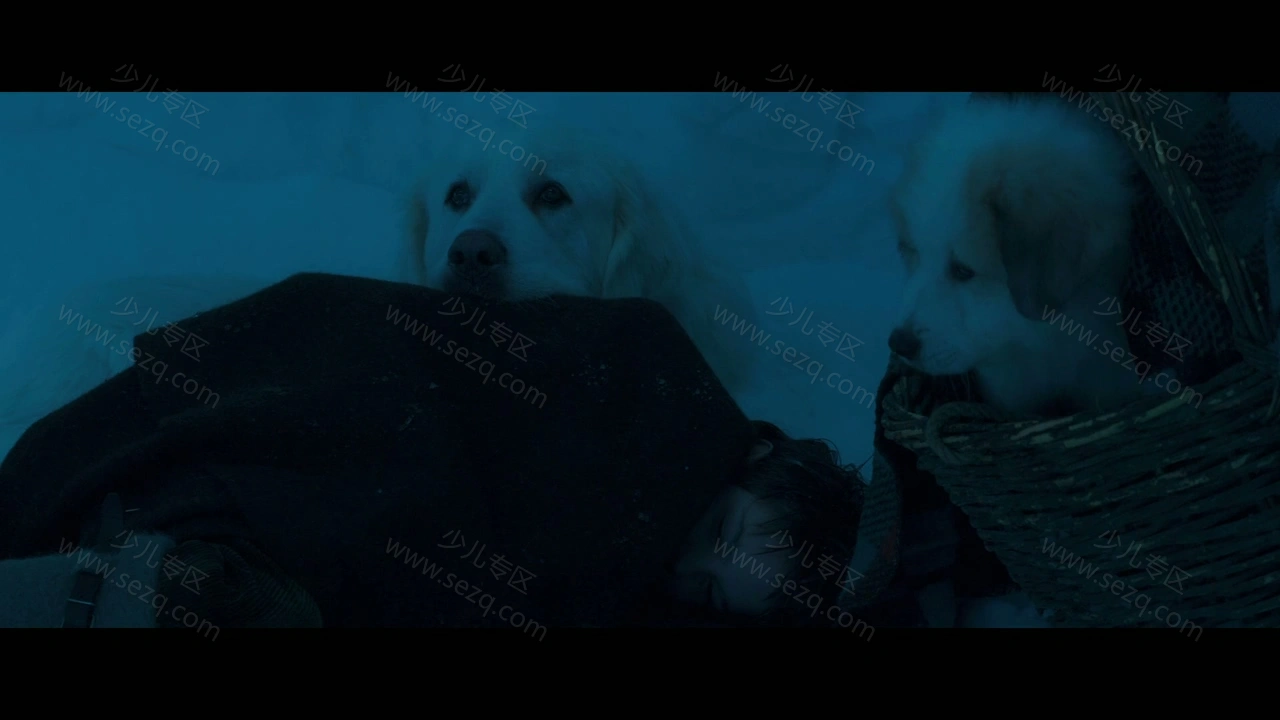 灵犬雪莉3的剧照截图6