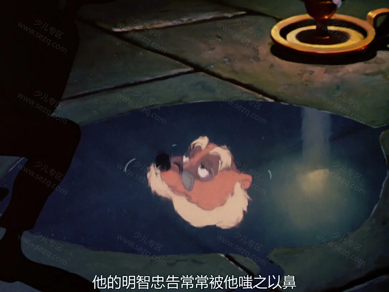 伊老师与小蟾蜍大历险的剧照截图4