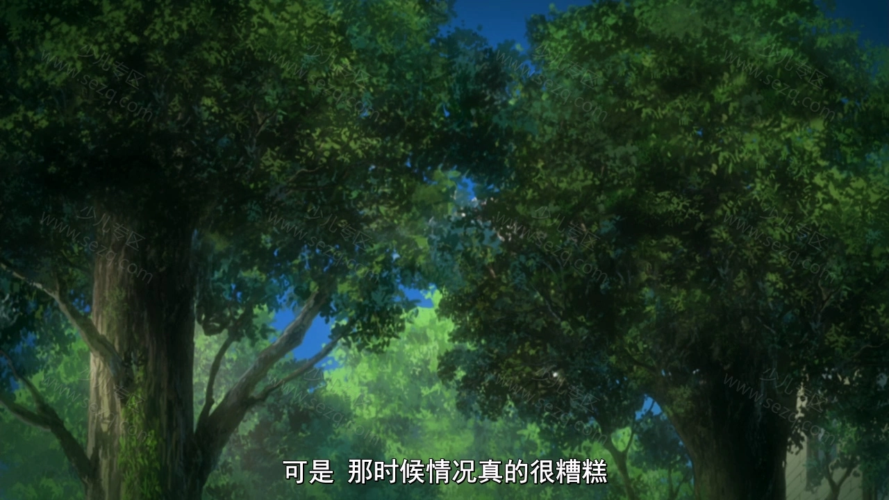 精灵宝可梦：幻影的霸者索罗亚克的剧照截图6