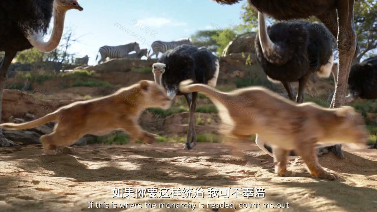 狮子王的剧照截图2