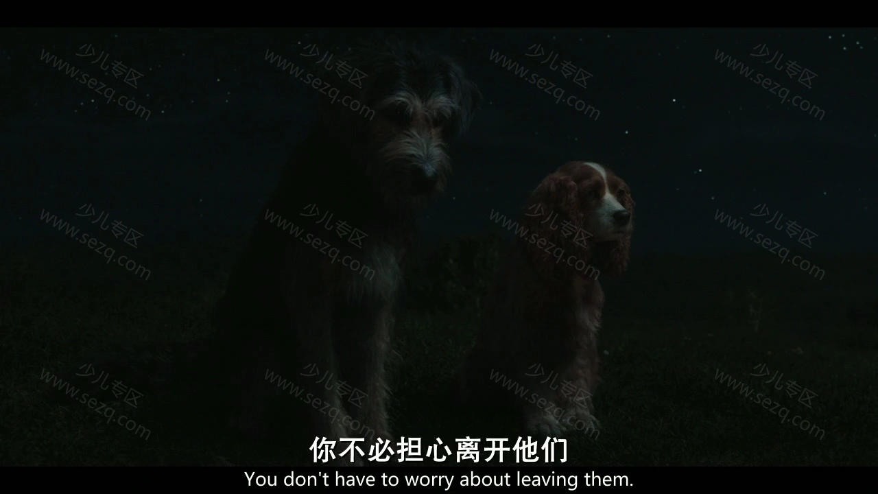 小姐与流浪汉的剧照截图8