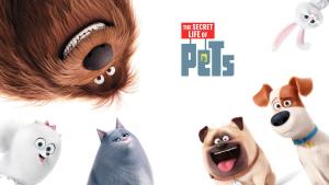 美国动画电影《爱宠大机密 The Secret Life of Pets》 国语中字 720P/MP4/1.27GB 下载