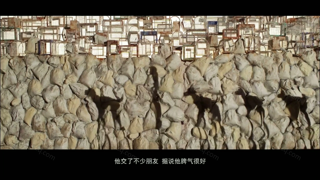 犬之岛的剧照截图2