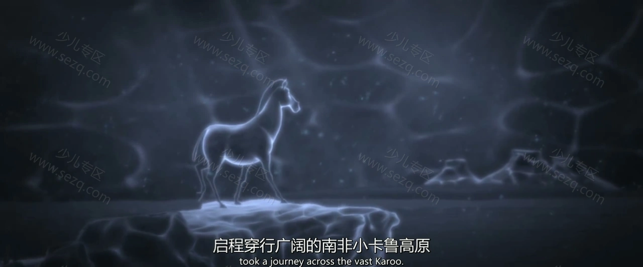 斑马总动员的剧照截图2