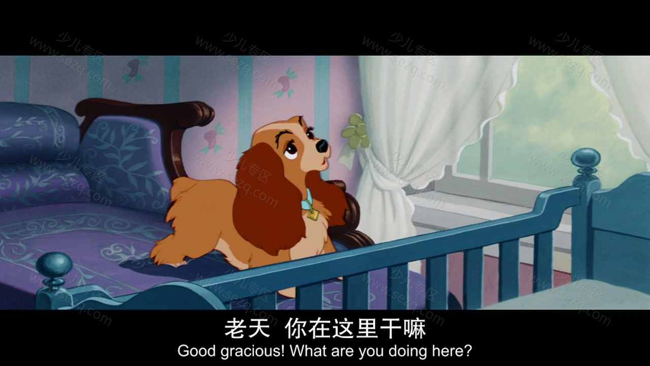 小姐与流浪汉的剧照截图6