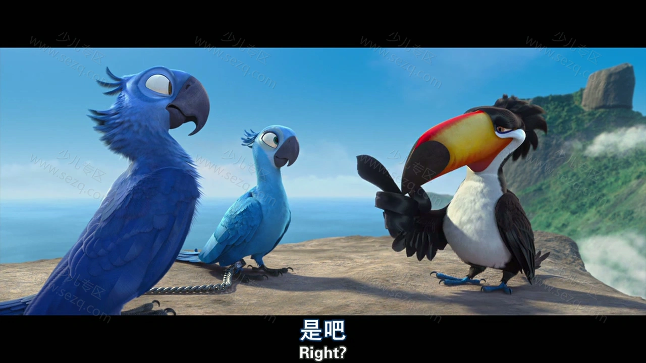 里约大冒险的剧照截图7
