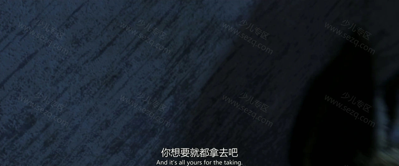 斑马总动员的剧照截图4