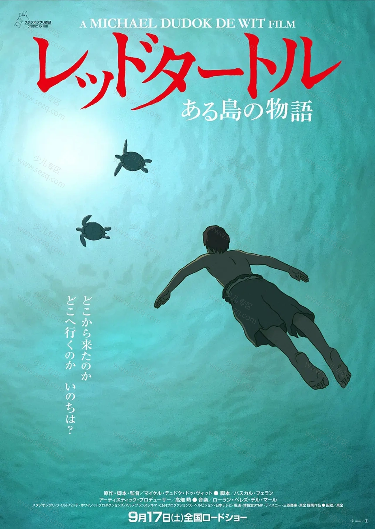 红海龟的剧照截图9