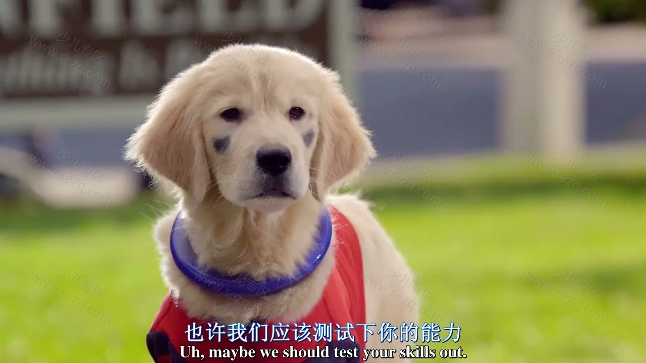 超级巴迪的剧照截图4