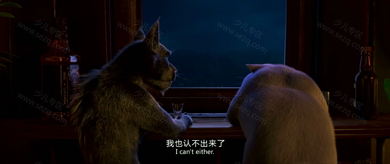 猫与桃花源的剧照截图8