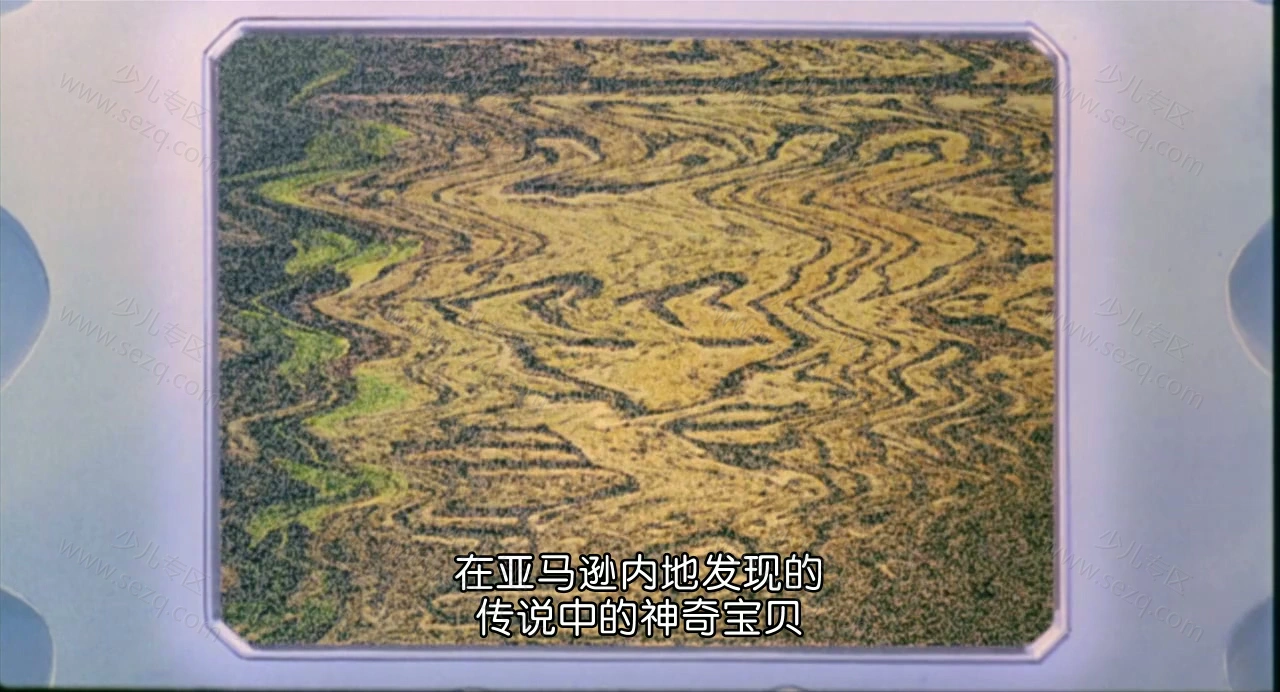 精灵宝可梦：超梦的逆袭的剧照截图8