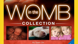 英国纪录片《子宫日记 In the Womb》 英语中字 720P/MKV/2.19GB 下载