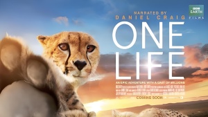 自然纪录片《地球生灵 One Life》英语中英双字 1080P/MP4/1.99GB 下载