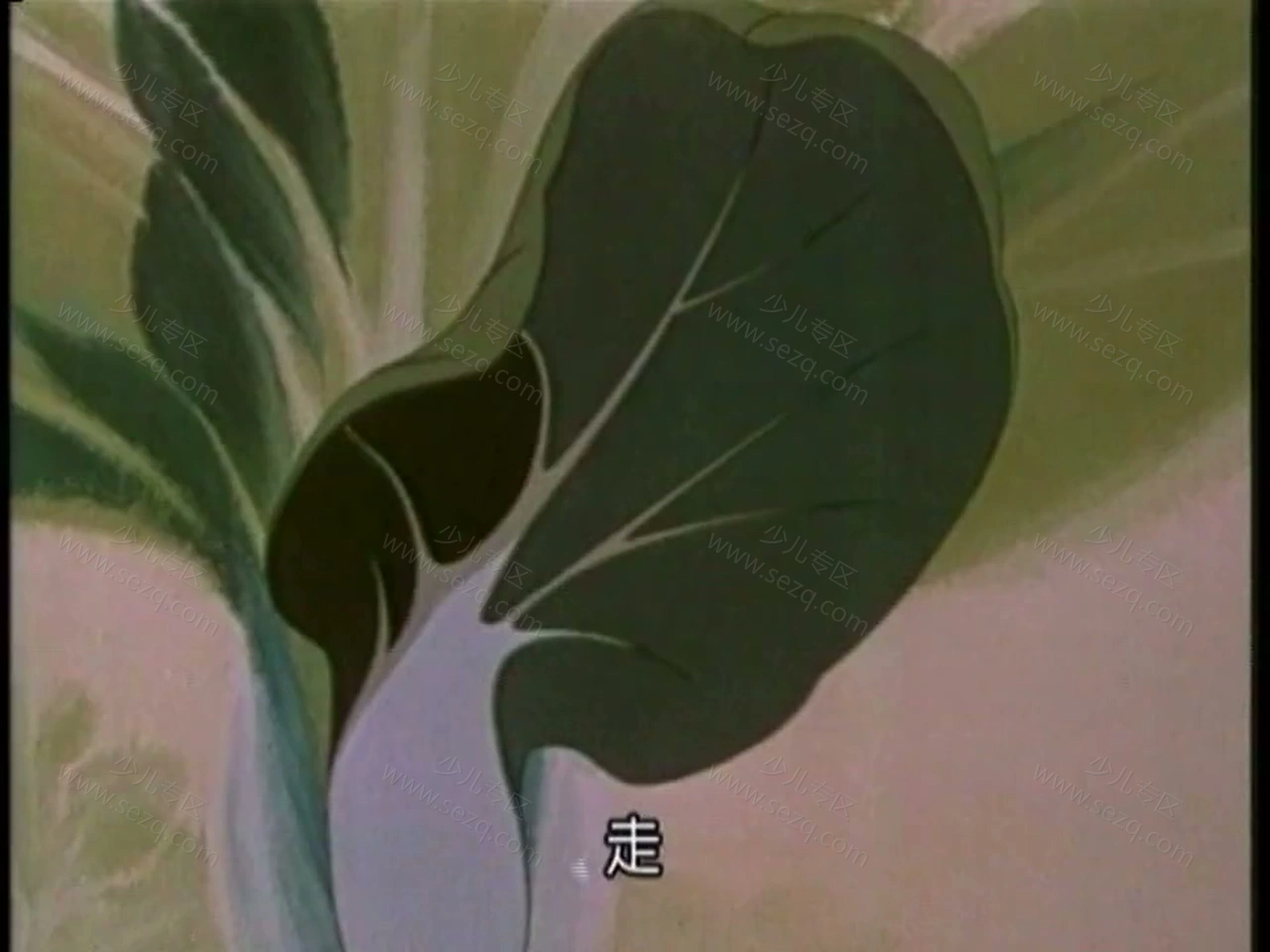 奇怪的病号的剧照截图1