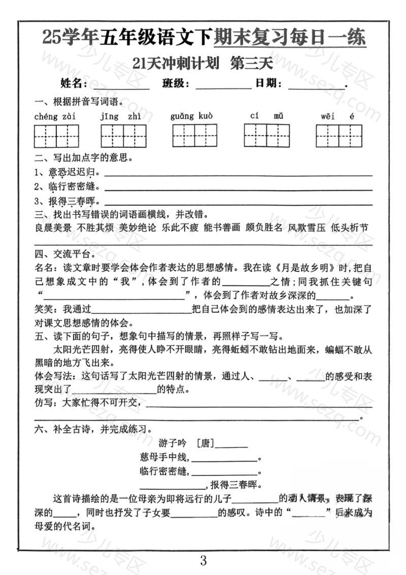 文档 25春五下语文期末冲刺21天计划(1) 的截图预览 3