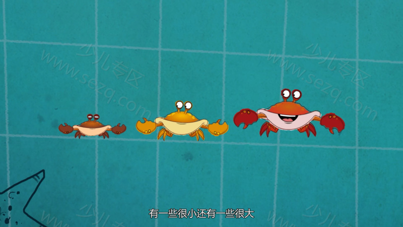 我是一条鱼的剧照截图2