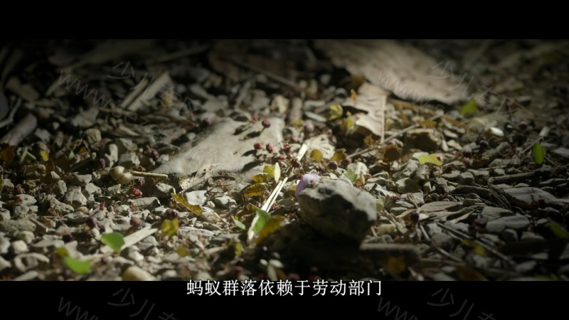 外星世界的剧照截图2
