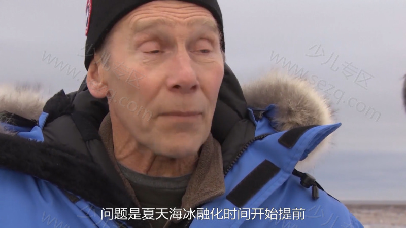北极行动的剧照截图1