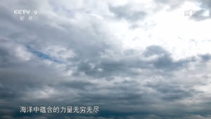 海洋纪录片《蔚蓝之境 2020 Blue Realm》全6集 国语版 1080P/TS/29.16GB 下载