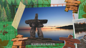 冒险动画片《薇薇环游世界 Vivi Viravento》全26集 国语中字 1080P/MP4/6.57GB 下载