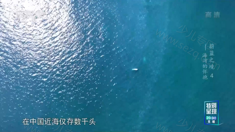 蔚蓝之境 2020的剧照截图7