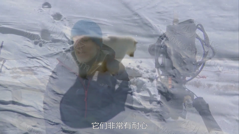 北极行动的剧照截图6