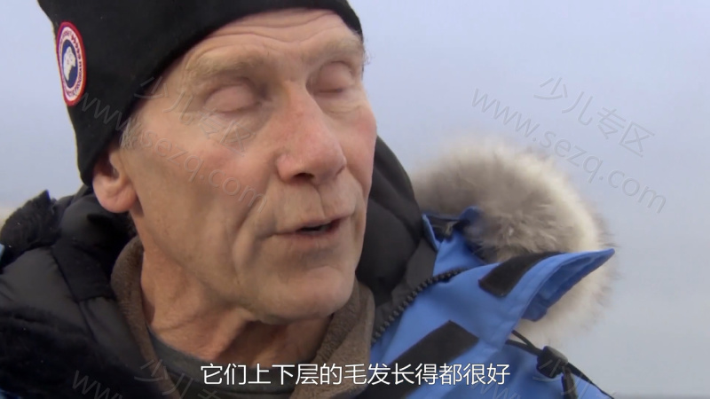 北极行动的剧照截图7