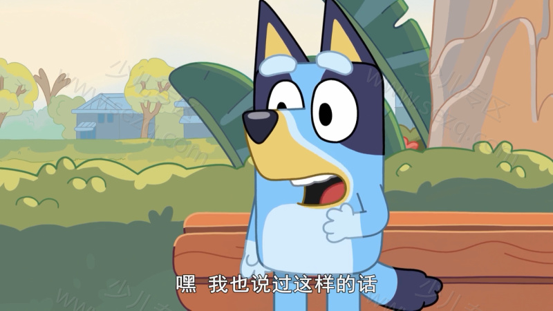 布鲁伊的剧照截图5