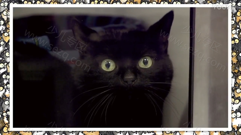 西蒙的猫的剧照截图1