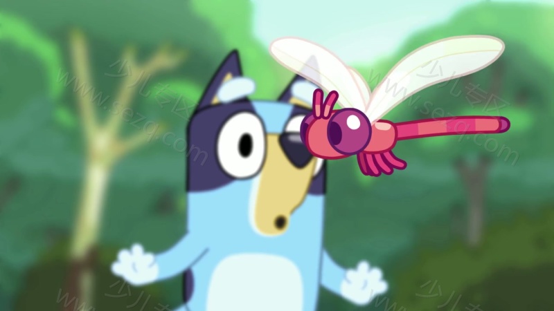 布鲁伊的剧照截图6