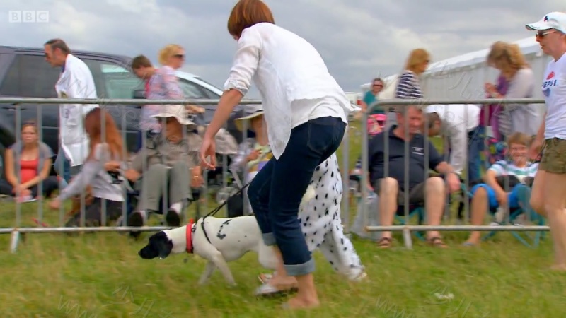 我的宠物的剧照截图7