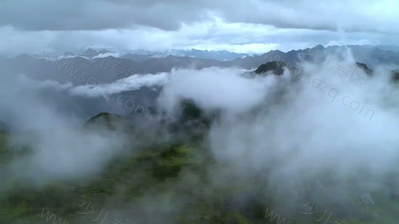 影响世界的中国植物的剧照截图2