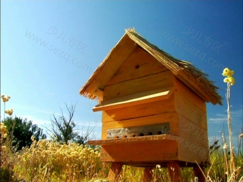 昆虫小世界的剧照截图6