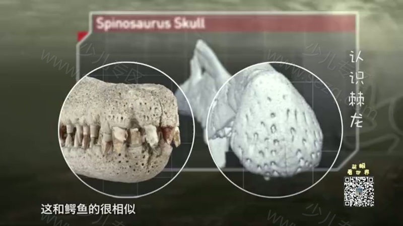 萌眼看世界的剧照截图6