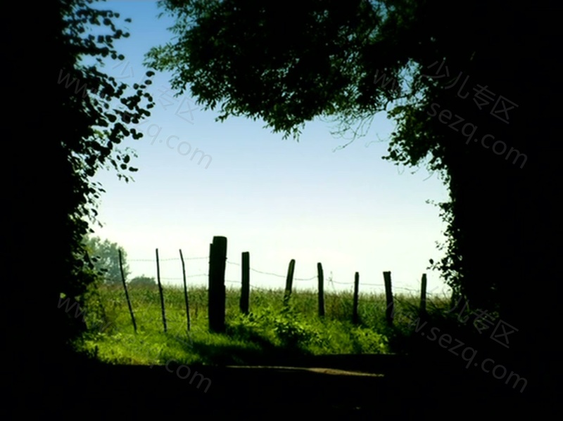 昆虫小世界的剧照截图3