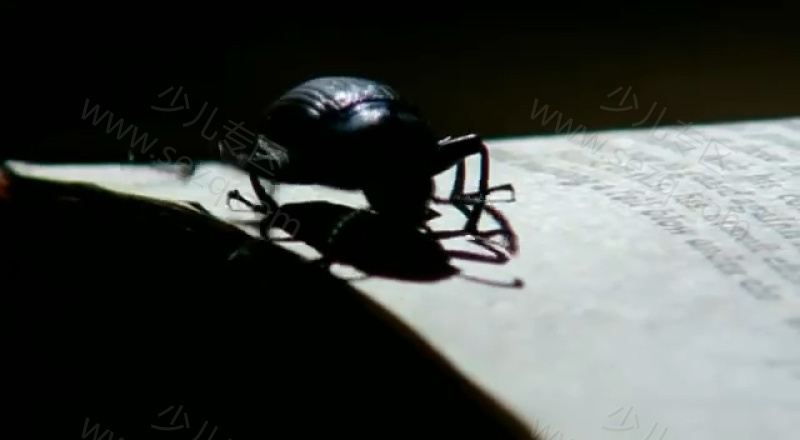 光的故事的剧照截图4