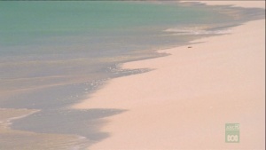 科普纪录片《野性加勒比 Wild Caribbean》全4集 英语版 720P/MKV/4.27GB 下载