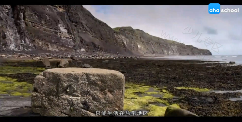 世界地理探秘的剧照截图3
