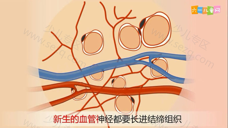 嘟拉十万个为什么的剧照截图5