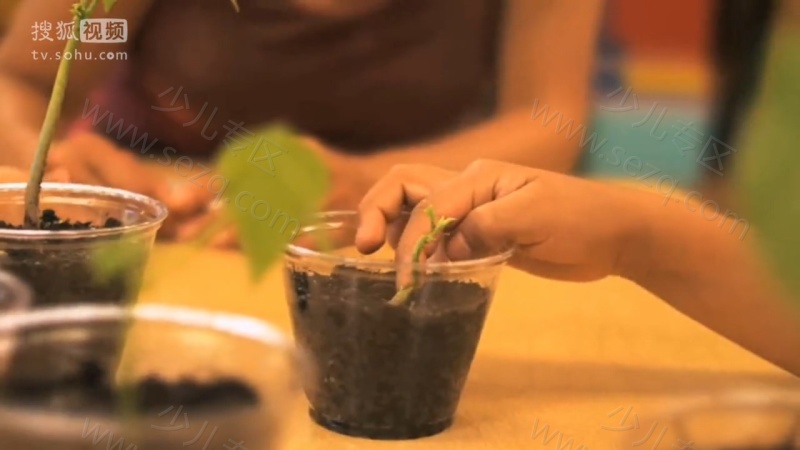 科学小子席德的剧照截图3