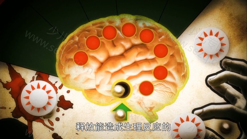 你最想知道的科学的剧照截图4