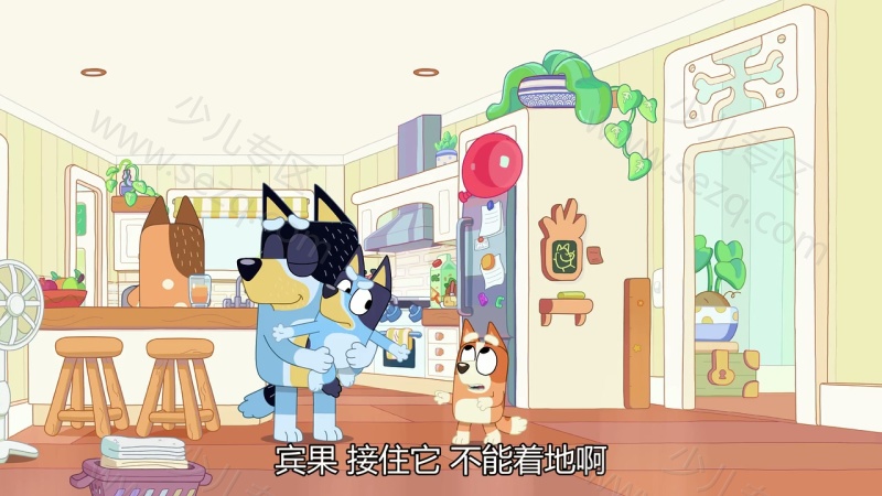 布鲁伊的剧照截图3