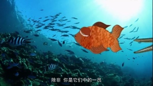 科普纪录片《你最想知道的科学 James May’s Things You Need to Know》第一季全3集 英语中字 720P/MP4/1.03GB 下载