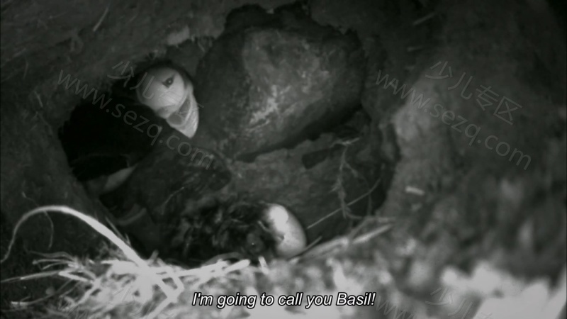 如果我是一只动物的剧照截图5