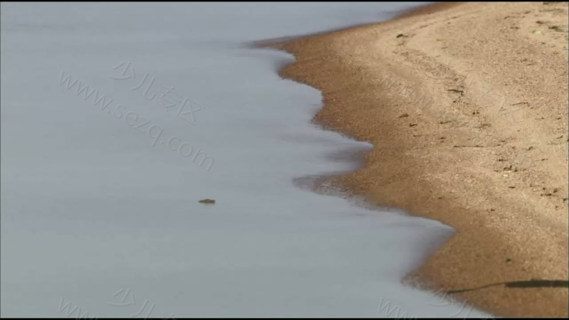 野性俄罗斯的剧照截图2