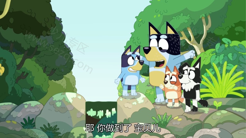 布鲁伊的剧照截图5