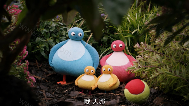 趣趣知知鸟的剧照截图3